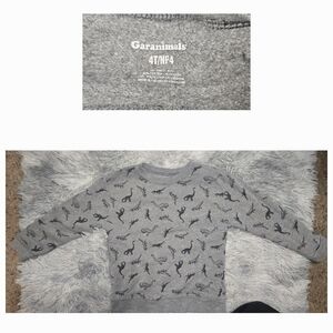 Garanimals Gray Dinosaur Sweatshirt
